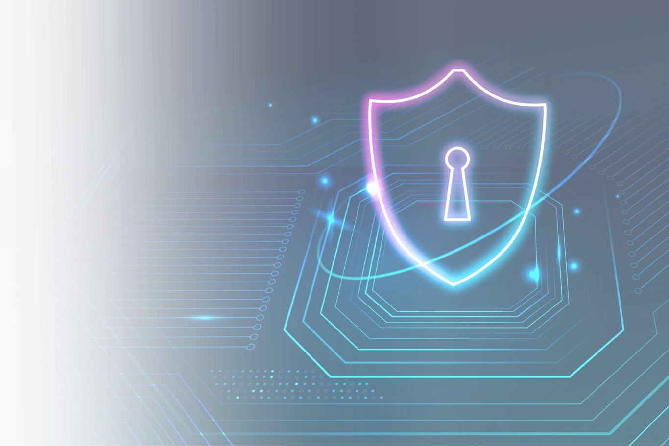 My Site Exploit & Vulnerability Intelligence